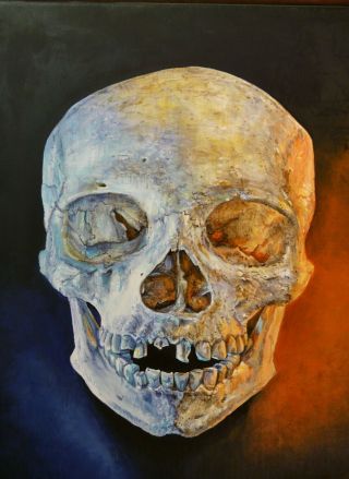 Real Human Skull 3d Hd Art