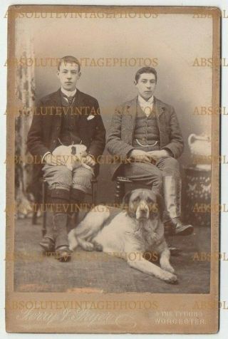Old Cabinet Photo Young Men With Pet Dogs Fryer Studio Worcester Vintage C.  1890