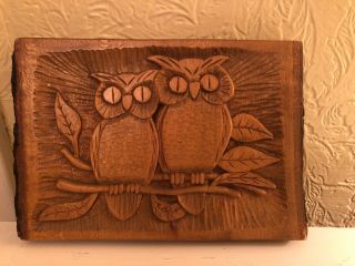 Vintage Hand Carved Owl Wood Bark Wall Hanging Plaque,  Folk Art 7 X 10”