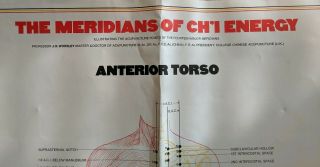 3 Vintage Acupuncture Poster The Meridians Of Chi Energy 1973 Vintage