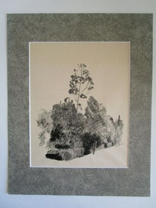 Vtg Pen & Ink Drawing Listed Ca Artist Alice Hatch Eucalyptus Trees