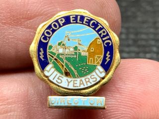 Co - Op Electric 1/10 10k Gf Stunning Director 15 Years Of Service Award Pin.
