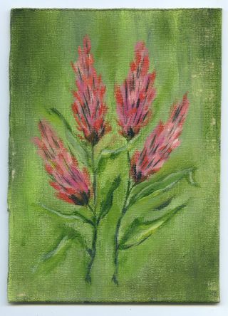 7 " Vintage Oil Painting On Canvas Red Summer Flower Julia Hosmer Artist