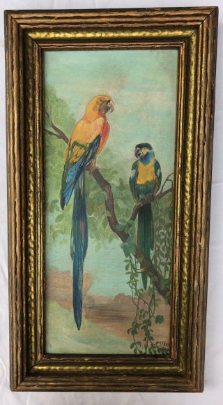 Two Parrots Tropical Scene Vintage Oil Painting On Board 1925 Signed H.  A.  Wark