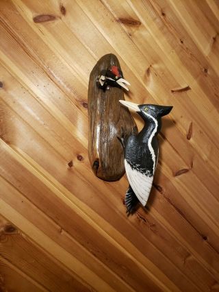 Ivory - Billed Woodpecker Wood Carving Woodpecker Decoy Duck Decoy Casey Edwards