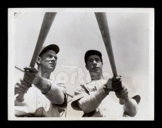 Gorgeous Giants Star Mel Ott & Yankees Joe Dimaggio Sluggers Vintage Photo