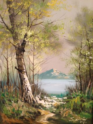 Vintage LANDSCAPE Oil Painting Signed Framed o/c Lake Mountain 3