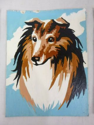 Vtg Paint By Number Collie Dog On Blue Background 6 " X 8 " Pbn