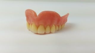 Dentist Model Upper Denture False Fake Teeth Tooth.