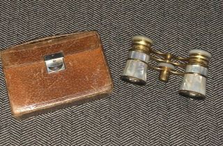 Mother Of Pearl Opera Glasses With Case From Germany German Vintage Antique Old