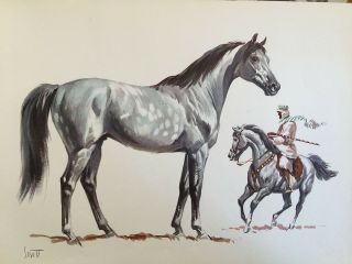 Arab Arabian Costume Horse Art Print By Sam Savitt 1962