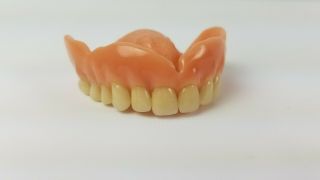 Dentist Model Upper Denture False Fake Teeth Tooth Dental