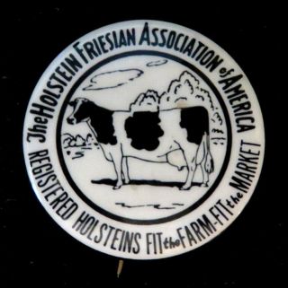 The Holstein Friesian Association Of America Registered Holsteins 1.  5 " Cow Pin