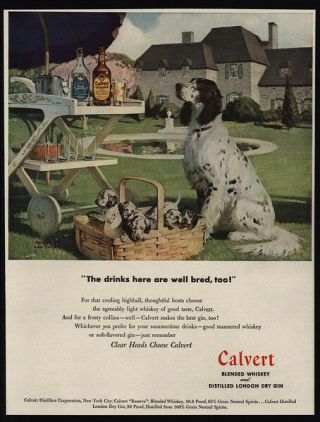 1947 Calvert Whiskey & Gin - English Setter Dog & Puppies Vintage Advertisement