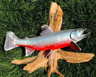 Vtg Large 22” Brook Trout Taxidermy Driftwood Mount Cabin Office Decor