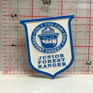 Junior Forest Ranger Smokey Bear Slogan Button Badge Ft