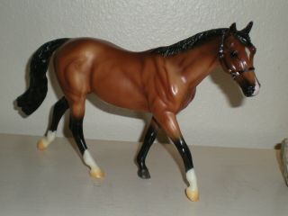 Breyer Classic Horse,  W.  E.  G.  9103 2010 0nly,  Rare,  Warmblood Mare,