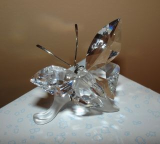 Swarovski Crystal Butterfly On A Frosted Leaf Figurine A 7615 Nr000 003,