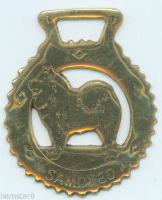 Samoyed Horse Brass (n648)