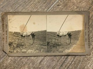 Native American Indian Stereoview Chief Ten Bears Grave By F A Rinehart