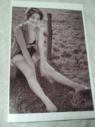 Vintage 6 " X 4 " B/w Photo Of A Model In Stockings,  Panties,  Bra And Garters