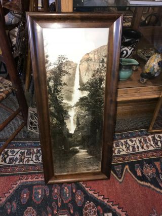 " Yosemite Falls Fr Oak Tree Point " 1906 A.  C.  Pillsbury Photograph Large