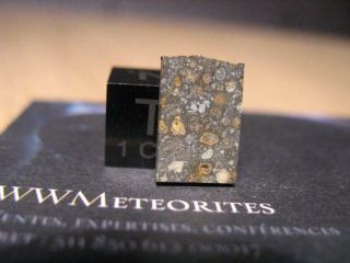 Meteorite Nwa 11543 - Carbonaceous Chondrite Type Cv3 - Contrasted Matrix