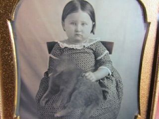 Little Girl Holding Her Moving Kitty Cat Daguerreotype Photograph
