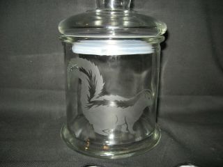 Etched Skunk Glass Cookie Candy Treat Storage Jar Canister