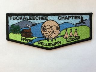 Pellissippi Lodge 230 Tuckaleechee Chapter Pocket Flap