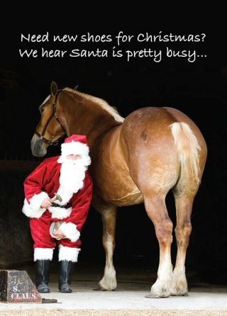 Need Shoes? Santa Farrier Belgian Horse Christmas Cards