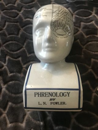 Phrenology L.  N.  Fowler Ceramic Head / Bust Brain Parts Scientific Neuroanatomy