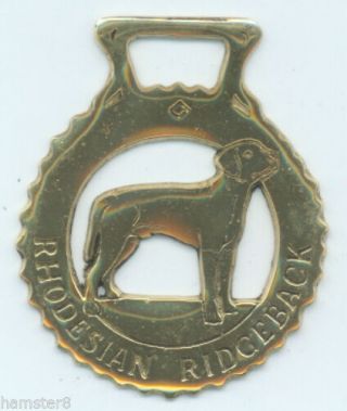 Rhodesian Ridgeback Horse Brass (n587)