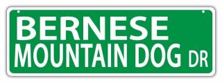 Plastic Street Signs: Bernese Mountain Dog Drive - Dogs,  Gifts,  Home Decor