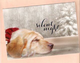 Labrador Retriever Lab Silent Night Fully Decorated Christmas Nap Cards Box 18