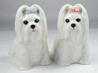 Maltese Dogs Wearing Pink And Blue Bow Ceramic Salt And Pepper Shakers Set