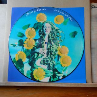 Tears For Fears Sowing The Seeds Of Love 1989 Idpt 12 Picture Disc Le 0603 45rpm
