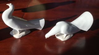 Pair (2) White Ceramic Porcelain Doves Made In Spain D90