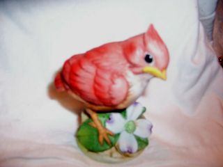 Ceramic Baby Red Cardinal By Andrea - 6350