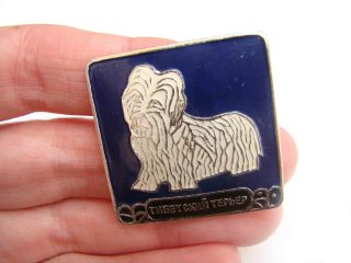 Dog Tibetan Terrier Pin Badge Vintage Soviet Badge Animal Lover Pin Badge
