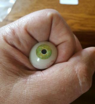 Human Prosthetic Eye Pale Green Great Veining.  Cool And Creepy G18