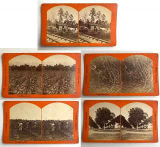 5 H.  Mancel Stereoviews African American Slave Workers Etc Louisiana Photographs