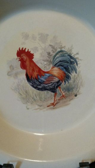 2000 Home & Garden Party Rooster Pie Pan November Ceramic Hand Made USA T95 2
