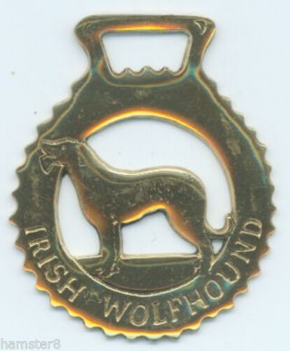 Irish Wolfhound Horse Brass (n607)