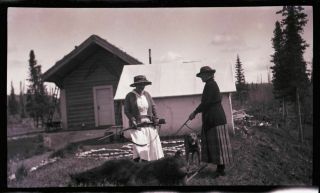 (1) Early 1900s Film Neg,  Alaska - ?,  Two Women With Rifles And Huge Dead Bear