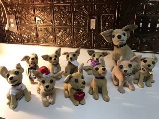 Taco Bell Chihuahuas Ten Plush Dogs,  Nine Talk Collectibles