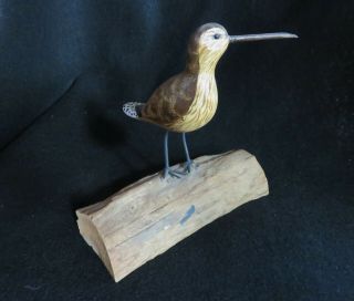 Hand Carved Painted Shorebird On Driftwood.  Signed Gary.  W.  Daisey.  Chincoteague