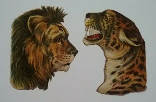 2 Great Antique Chromo Victorian Scraps,  Profiles Of Lion,  Tiger.  Ap 9x7cm