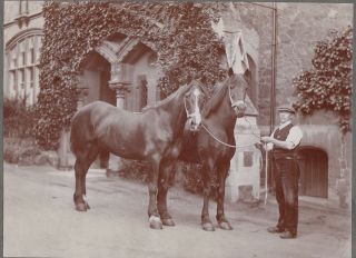 1914 Photo Album British Colombia Canada Social History Farming,  India In Ww1