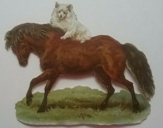 L.  Antique Embos Chromo Victorian Scrap.  Cute Dog On A Lovely Horse.  Ap13x10cm